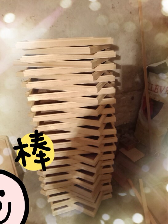 昆虫标本盒实木475*415*63可定做任...