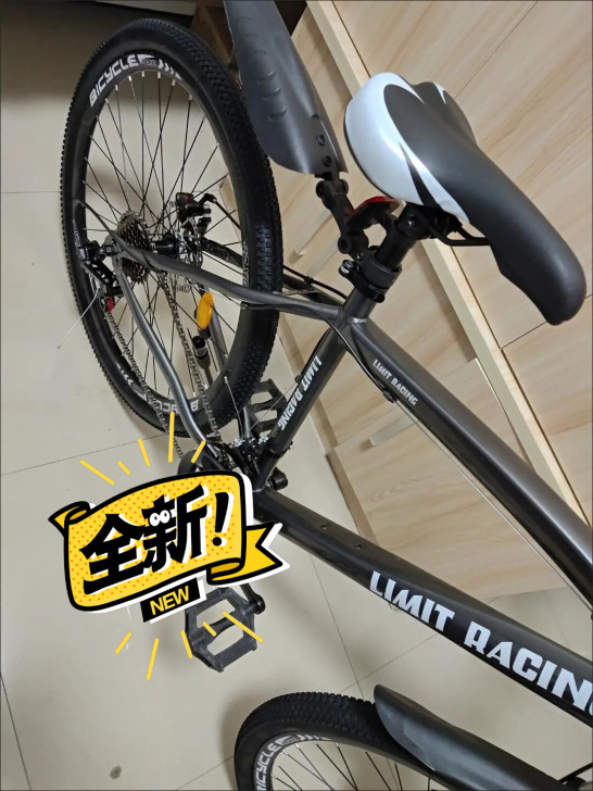 本来买来上班的 后面因为转回老家 干不下去...