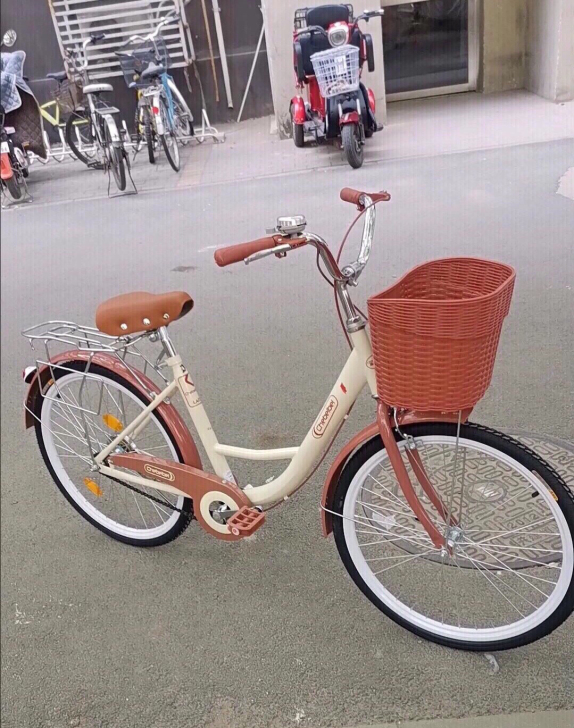 厂家清理库存自行车女式成人轻便普通男女学生...