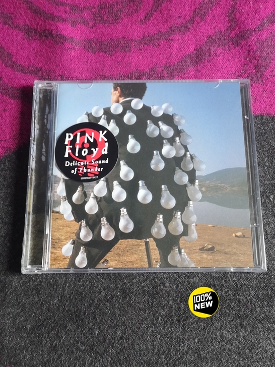 平克佛洛依德 Pink floyd - D...