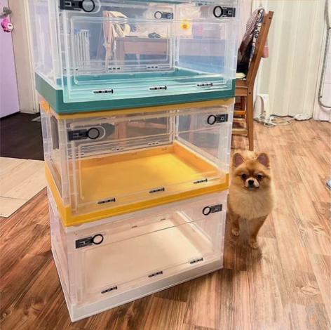 朋友实体店不做了，剩几十个便宜清货，出口品...