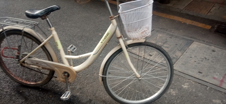 自行车，能正常行驶，地址塘家村3巷10号1...