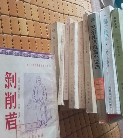 巴尔扎克小说 10本/贝姨上下/高老头/幻...