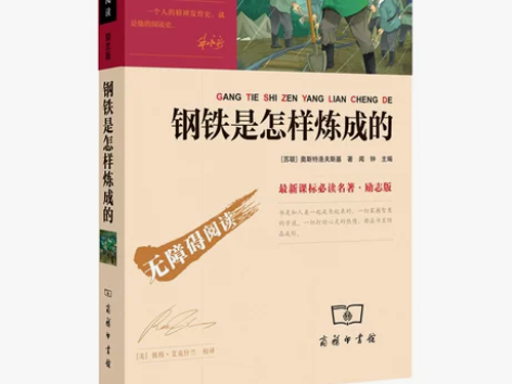 钢铁是怎样炼成的（中小学新课标必读名著 无...
