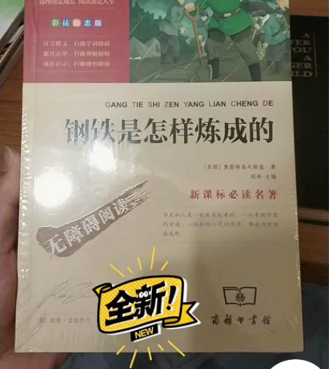 全新《钢铁是怎样炼成的》 新课标必读名著