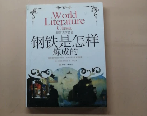 《钢铁是怎样炼成的》书籍保存完整！放心入！...