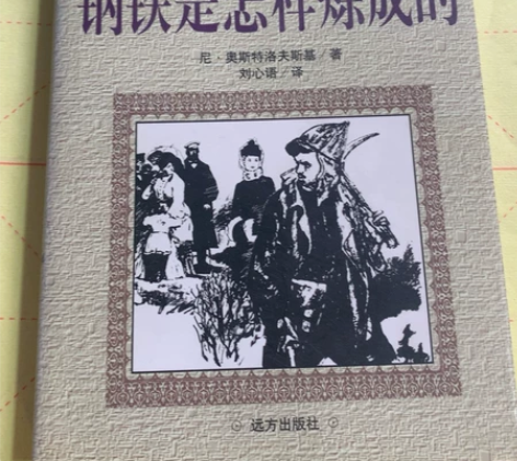 正版图书《钢铁是怎样炼成的》 作者：（苏）...