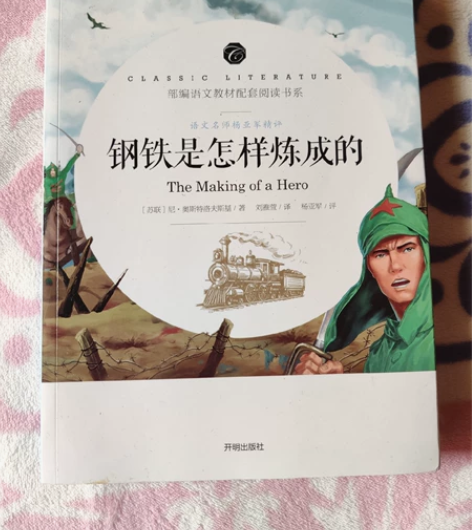 《钢铁是怎样炼成的》送核心考点 开本:16...