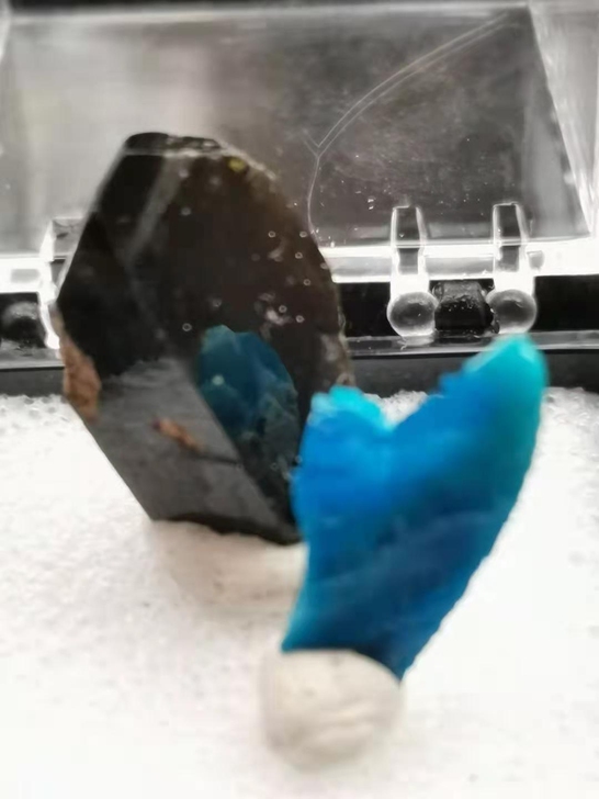 没钱花，出一批标本。满150包邮。