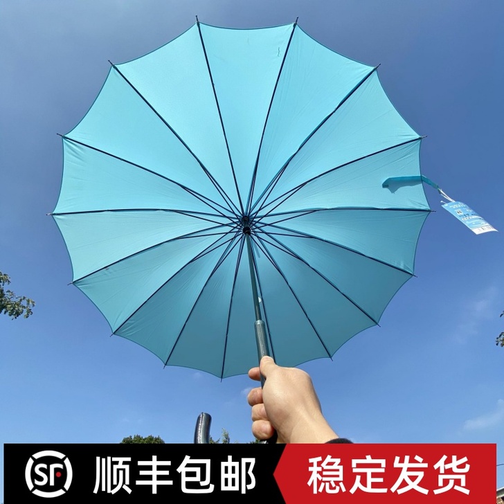 swift/雨燕 伞