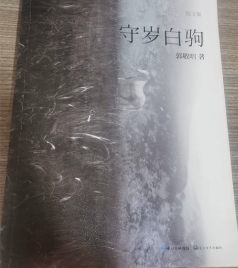 郭敬明 守岁白驹 感兴趣的话点“我想要”和...