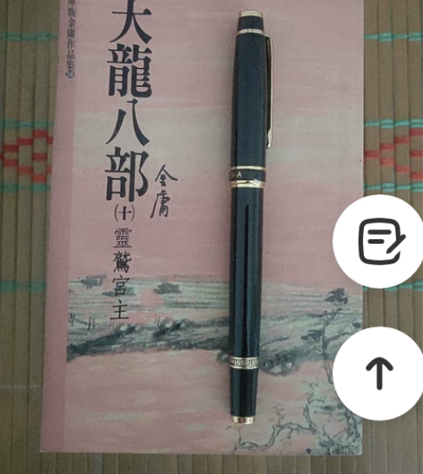 英雄牌钢笔下：金庸。 远流小花皮。 天龙八...