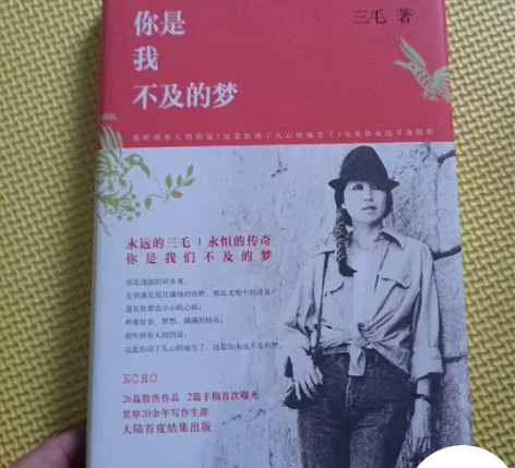 你是我不及的梦 三毛 九成新左右的正版书，...