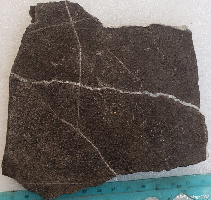 化石残件包邮 品相自己看