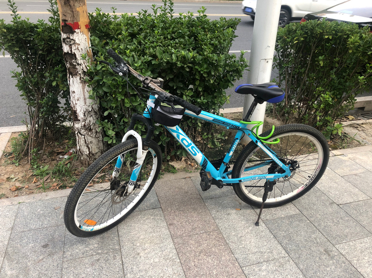 XDS/喜德盛 旭日300 山地自行车 成...