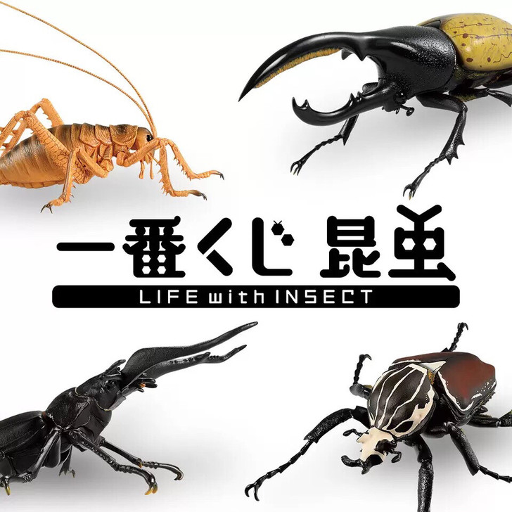 万代一番赏仿真昆虫甲虫大兜虫模型盒玩摆件玩...