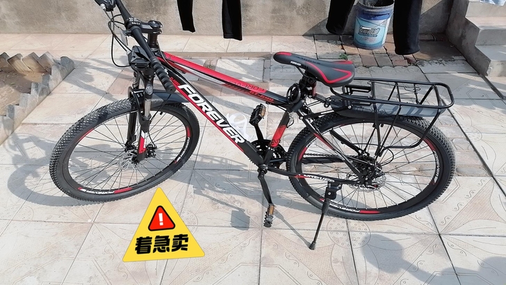 搬家搬家捡漏来。假永久自行车。自己出价。给...