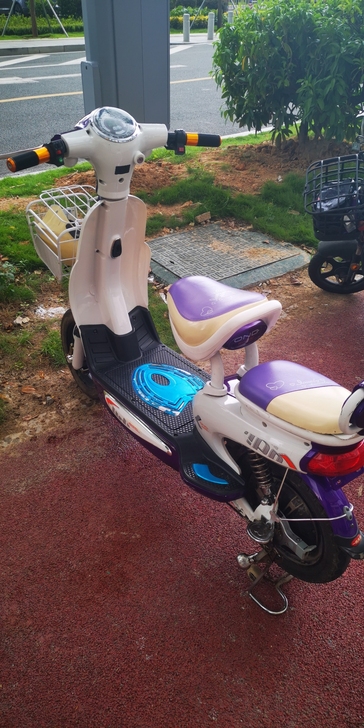 飞鸽牌经典电动车收藏版，九成新，全车保养很...