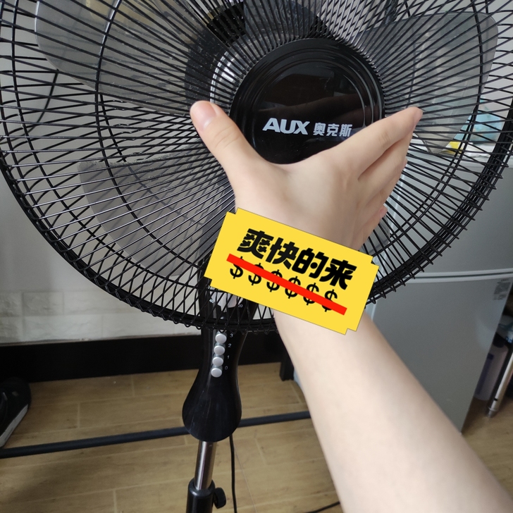 奥克斯落地风扇