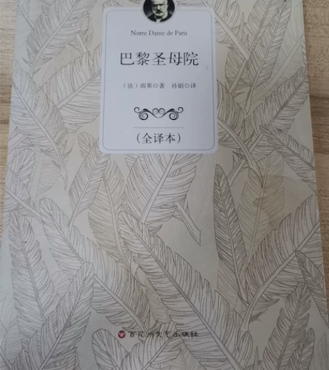 雨果,《巴黎圣母院》。 感兴趣的话点“我想...