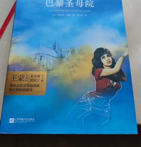 【正版】《巴黎圣母院》 江苏凤凰文艺出版社...