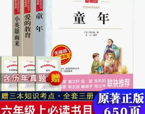 童年爱的教育小英雄雨来高尔基管桦快乐读书吧六年级上必读课外书...