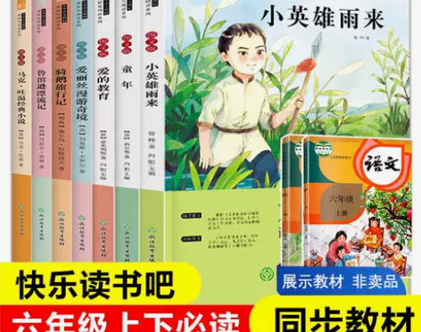 快乐读书吧六年级上下册全套7册爱的教育童年...