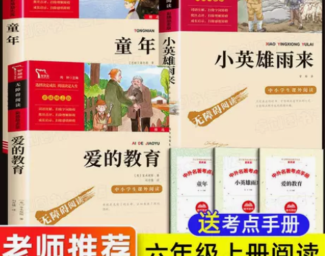 童年爱的教育小英雄雨来六年级上册必读的课外...