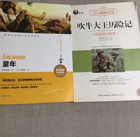闲置书 童年、吹牛大王历险记 两本一起卖1...