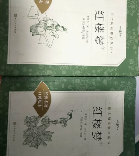 红楼梦 经典名著 上下两册 上册封面有点脏...