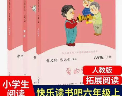 人教版 小英雄雨来 爱的教育 童年高尔基