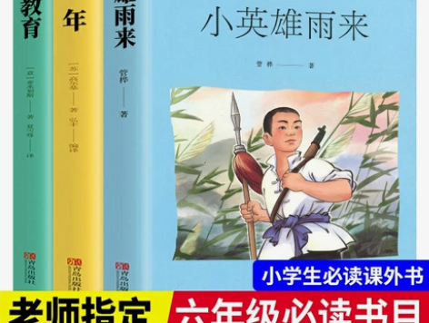 【老师推荐】爱的教育小英雄雨来童年书全套3...