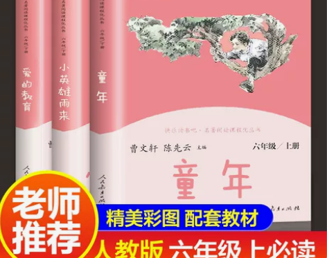人教版童年 爱的教育小英雄雨来高尔基六年级...