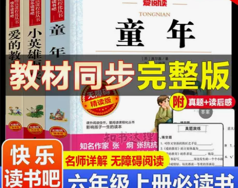 童年爱的教育小英雄雨来六年级上册课外必阅读...