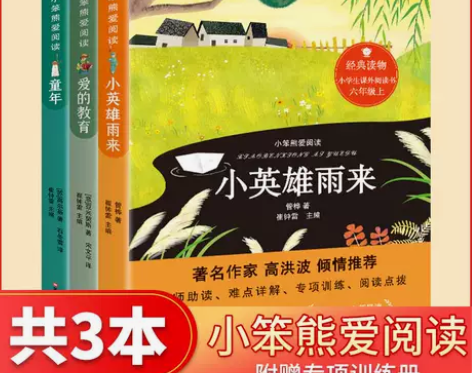快乐读书吧六年级上册爱的教育童年小英雄雨来...
