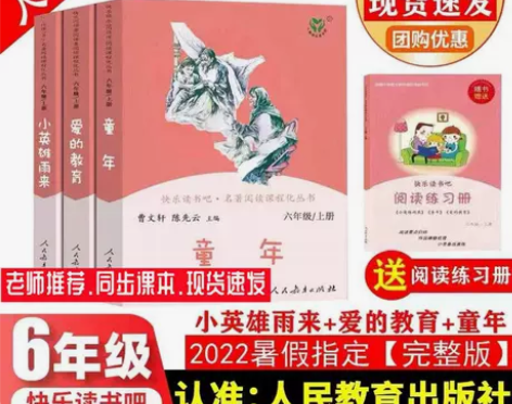 快乐读书吧六年级上册全套必读课外书小英雄雨...