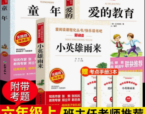 老师推荐爱的教育小英雄雨来童年书全套3册高...