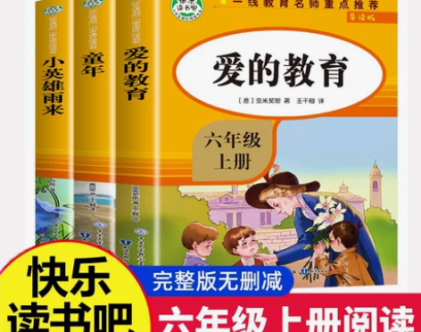 全套3册爱的教育小英雄雨来童年导读版六年