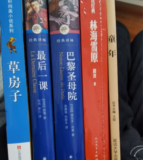 童年，林海雪原，巴黎圣母院，最后一课，草房...