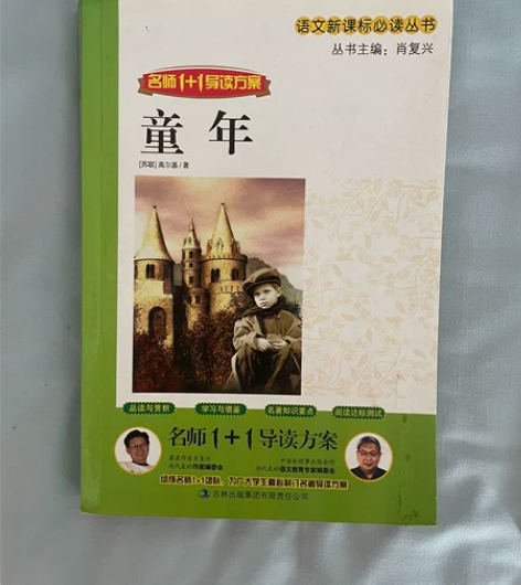 二三年级课外书必读带拼音鲁滨逊漂流记老师推...