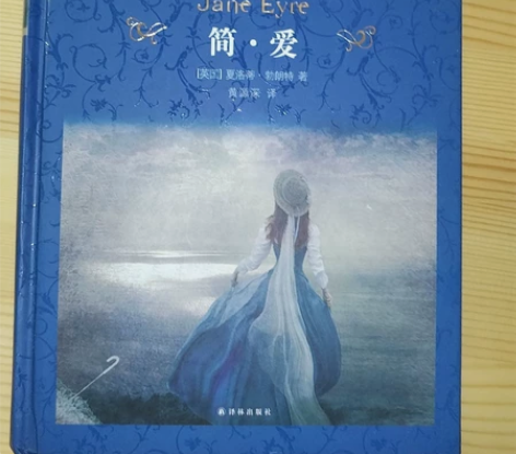 经典译林版简爱,全新无使用痕迹 感兴趣的话...