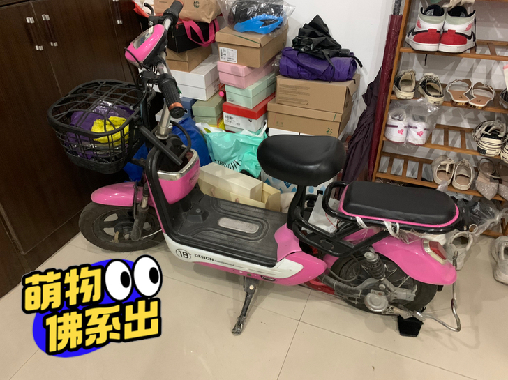 东莞东城火炼树同城电动车闲置转卖