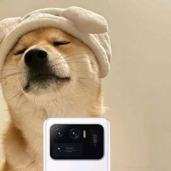 小米11U陶瓷白12+256。意外险+1年...