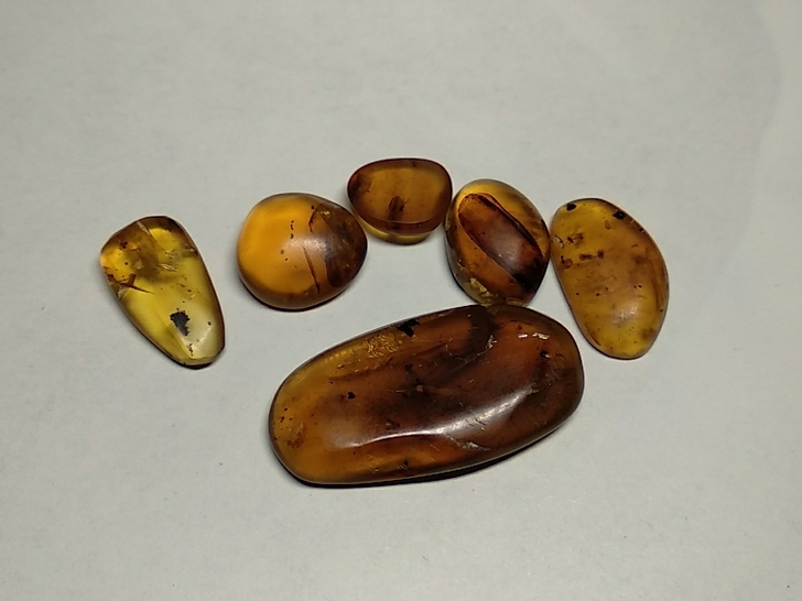 40一堆标本虫珀，虫很小，用放大镜看做标本...