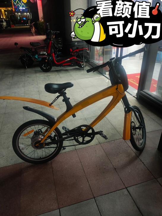 正步（ZB） 电动自行车 20寸中置立管仪...