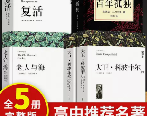 高中必读名著大卫科波菲尔论语巴黎圣母院家百...