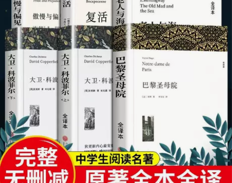 巴黎圣母院正版原著 大卫科波菲尔老人与海复...