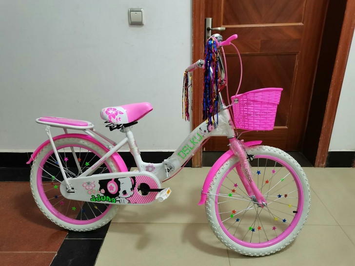 车行月底搬迁出售 全新女孩学生18-24寸...