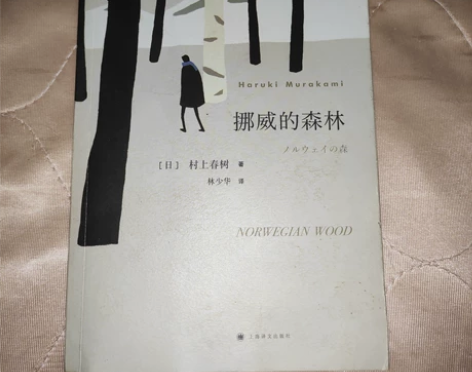 挪威的森林 寻羊冒险记 人性的弱点 浮生六...