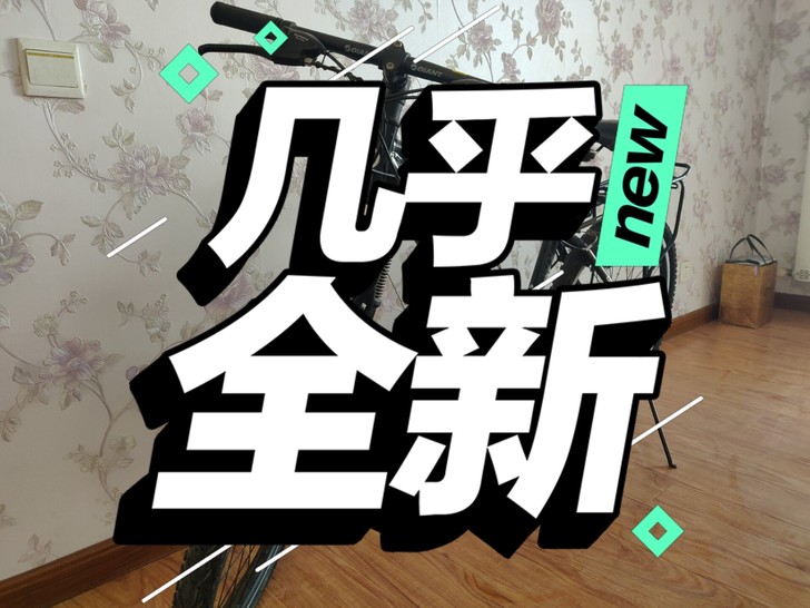 捷安特山地自行车，9.9成新，轻巧便捷，变...